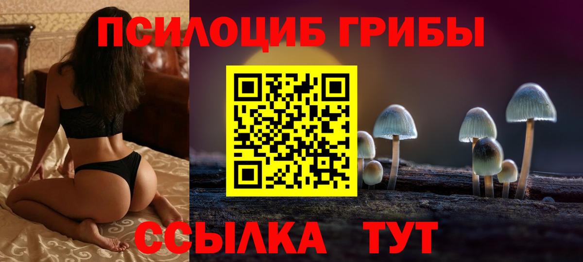 Кизилюрт  Псилоцибиновые грибы MAGIC MUSHROOMS  Вход с VPN  Псилоцибиновые грибы GOLDEN TEACHER 