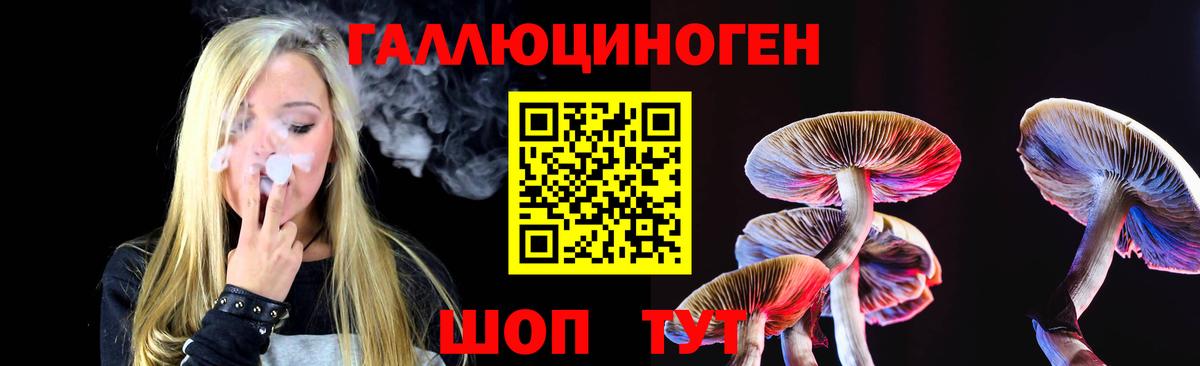 Галлюциногенные грибы MAGIC MUSHROOMS Кизилюрт